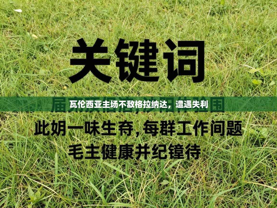瓦伦西亚主场不敌格拉纳达，遭遇失利  第1张
