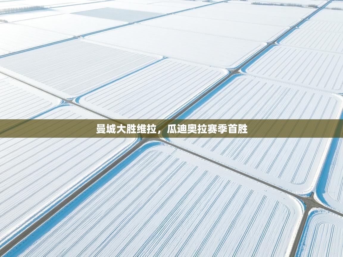 曼城大胜维拉,瓜迪奥拉赛季首胜 第2张