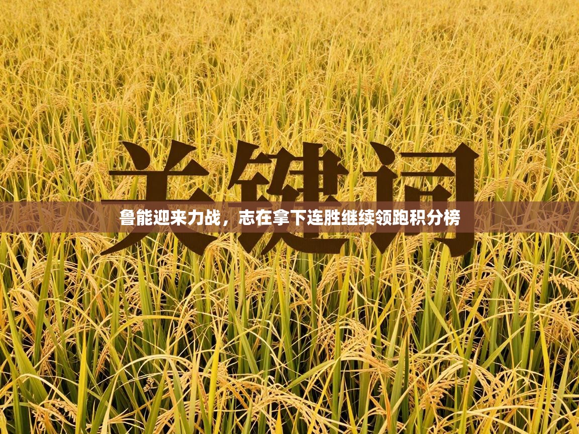 鲁能迎来力战,志在拿下连胜继续领跑积分榜 第1张